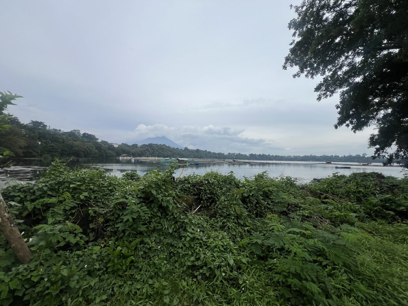 San Pablo lake landscape