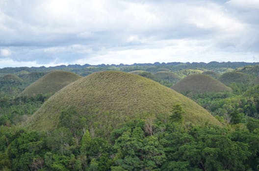 Chocolate Hills