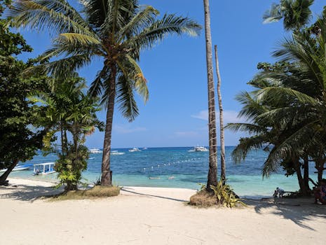 Panglao beach